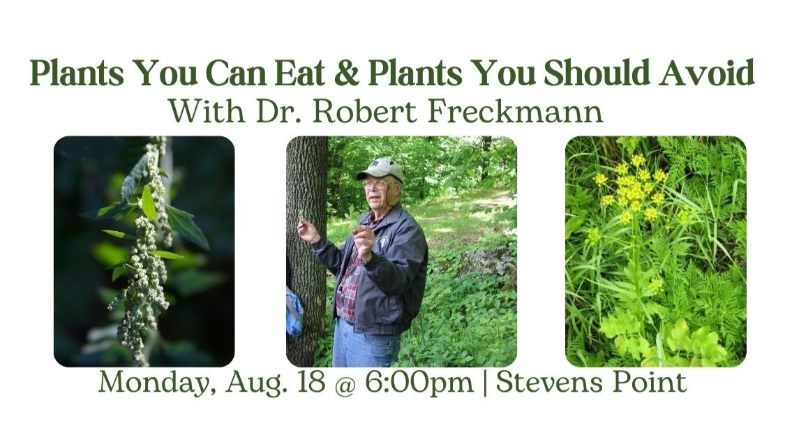 A sprig of a lambsquarters plant, a patch of green and yellow wild parsnip, and the program guest Dr. Robert Freckmann standing in front of a tree.